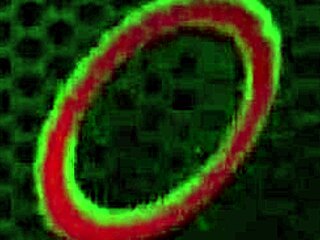 Jenna Sativa Licks Penny Pax