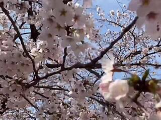Sakura Enjoys Hot Springs With Nacchi