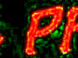 jenna presley works as a waitress and constantly takes piss breaks however