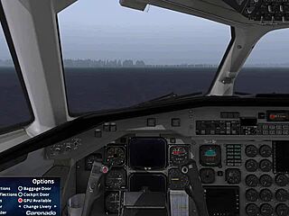 Starting up the Carenado LES Saab 340 in XP11 tutorial! 🚀