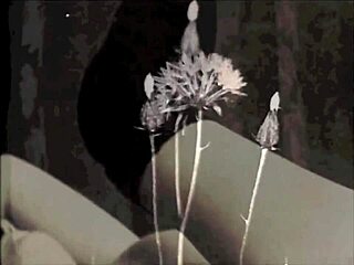 My Secret Life Vintage Lesbians