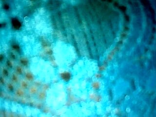 Damn, check out that pantaleta azul de mi esposa in this hot first part action!