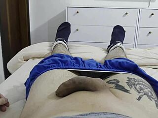 um penis descansando... wait no a resting cock yeah thats it