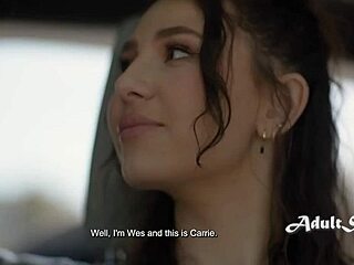 Con Artists Lie But Cougar Relies On Instincts