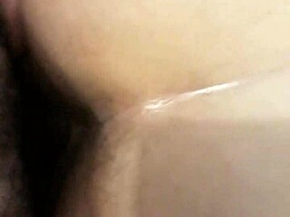 Brunette Couple Enjoys Quick Cum Session