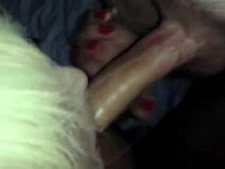 gorgeous french transsexual in group activity with multiple guys