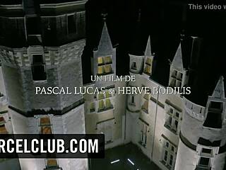 Trailer For Revenge Of A Story