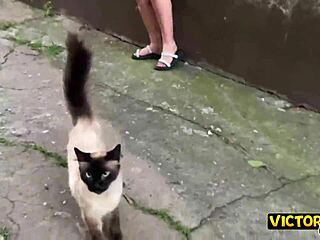 Found Brazilian brunette amateur on street and fucked her in Sao Paulo studio part 1