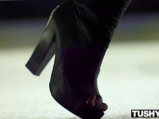 Watch Tushyraw Bree Daniels In Intense Anal Ride!