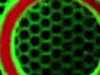 Descriptive Taking Care Of Sexy Yummy Sara Jay With Intense Fucking On The Desk