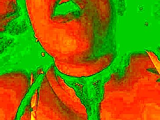 exotic bluee shows horny pleasure face as brunette colombian babe gets pussy licked solo