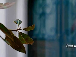 Disguise Lies Lesbian Ties