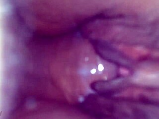 exploring amateur adventures in três barras