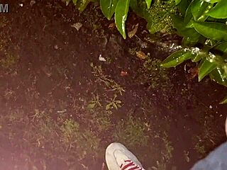 asmr priv� - compilation di pisciate di un grosso cazzo italiano in pubblico e in casa ti piscio in bocca troia - docce dorate - guarda come piscio per te e godi