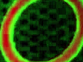 Blonde beauty babe Sara gets solo softcore session fingering her wet pussy and big tits until soaking in mature masturbation