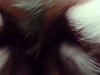 the hairy beaver starts to release a warm stream outdoors