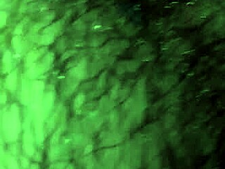 i'm stroking my monster cock hard until i explode everywhere