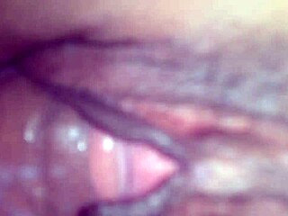 exploring amateur adventures in três barras