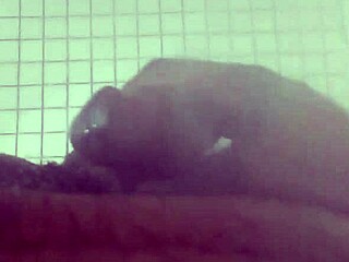 Discover the surprising thrill of a shower head experience.