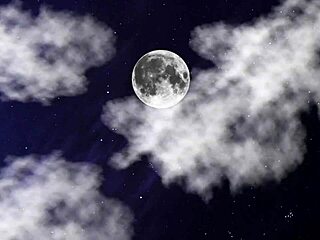 Widow's wet pussy licked and rough fucked