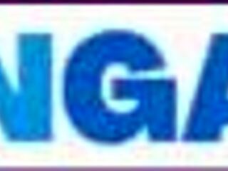 Oh yeah, ride that fat ass in reverse cowgirl anal slow motion!