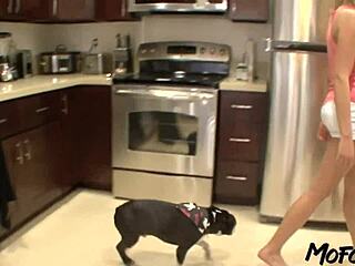 18 year old blonde takes rough anal pounding until cum covers her wet pussy.