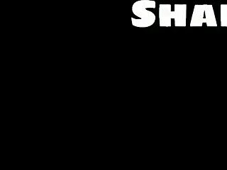 Interactive bouncing boobs live wallpaper for your mobile device with bikini beach vibes