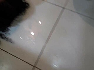 Rafinha Bastos, Caue Moura, and PC Siqueira review amateur porn videos from Bluezao on Xvideos in a fun session