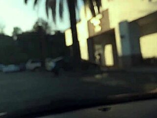 Act Like Reptiles And Trouser Snakes!