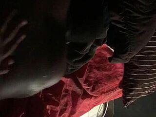 haitian queen explores florida and caribbean vibes with moaning sounds