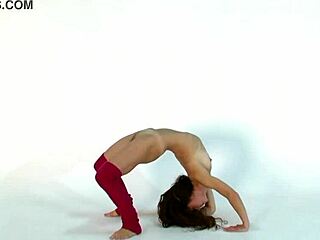 Anna ocean hot gymnast brunette with small tits stretching pussy in flexible athletic poses