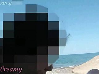 french amateurs deliver thrilling public beach blowjobs in this european compilation