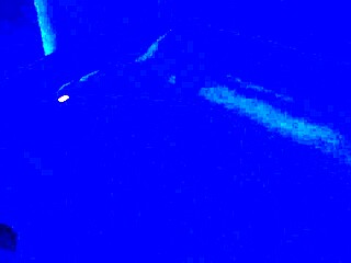 Blacklight ignites intense footjob fetish with toes and feet domination