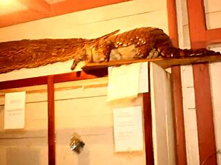 hey, what if we explore hidden spots in this park together?