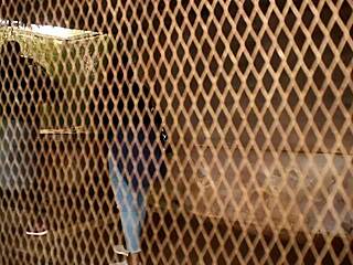 hey, what if we explore hidden spots in this park together?