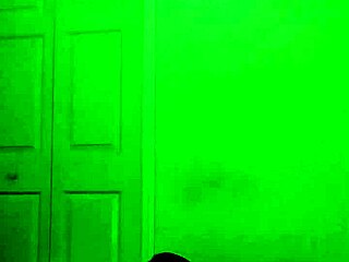 stretching turns playful like zodiac critters with toy bear