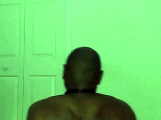 stretching turns playful like zodiac critters with toy bear