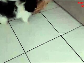 caught wife cheating ride home coworker cum on ass cuckold fucking old man