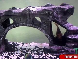 FUCK TIFFANY TYLER'S PUSSY WITH TOMMY GUNN'S MONSTER COCK!