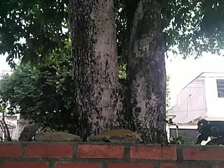 wanna caress our intimate parts kissing in public park