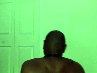 stretching turns playful like zodiac critters with toy bear