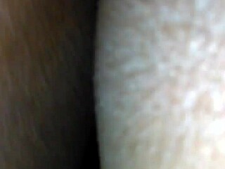 Decadent Chocolate Cream Pie Delight