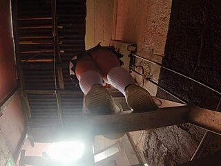 professor sneaks upskirts on busty latina plumbing students