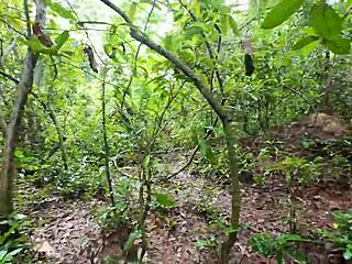 thai amateurs fuck passionately in public forest 4k bliss