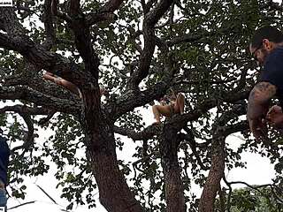 Blonde And Brunette Pounded On Street Tree Public Orgy