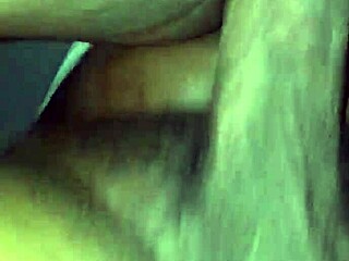 fat ebony bbw shakes her massive curves