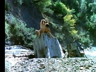 i crave horny indian village pussy on the ranch