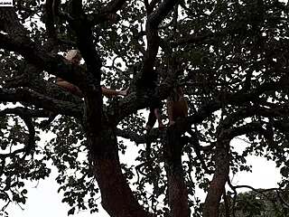 Blonde And Brunette Pounded On Street Tree Public Orgy