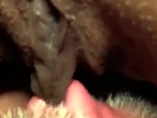 Flowerandlouis morning laughs lead passionate pussy licking moans