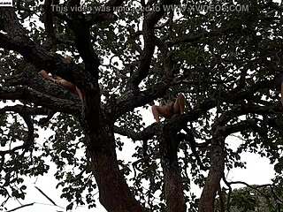 Blonde And Brunette Pounded On Street Tree Public Orgy